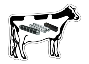 Cow Magnet, Cow Magnets