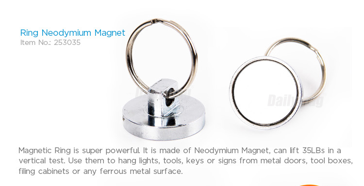 Ring Magnet-